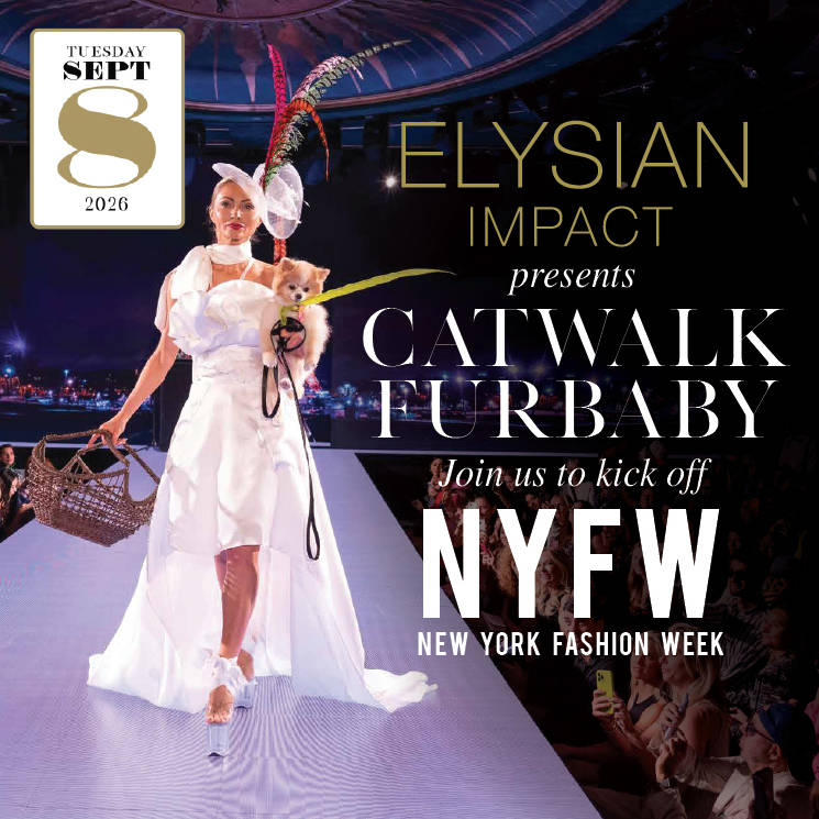 Display ad for CatWalk FurBaby presented by ELYSIAN Impact