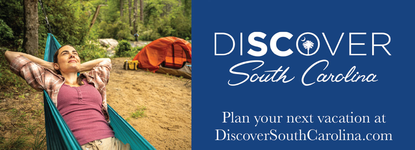 Display ad for Discover SC