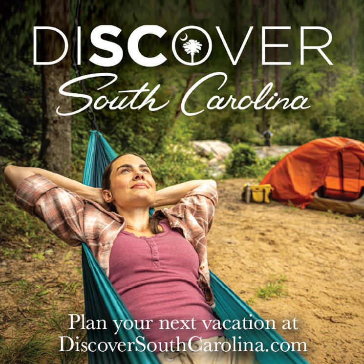 Display ad for Discover SC