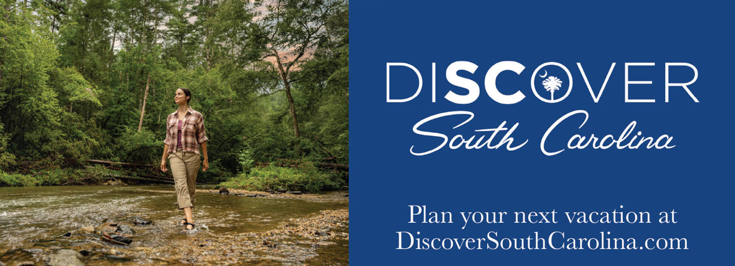 Display ad for Discover SC